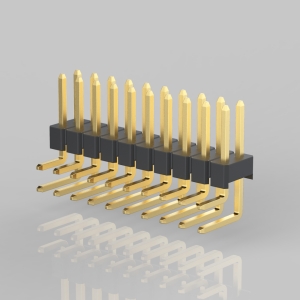 P20X-R1G_-XXX/XXX-XX 